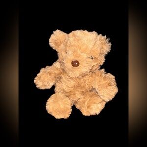 Tan teddy bear with brown nose